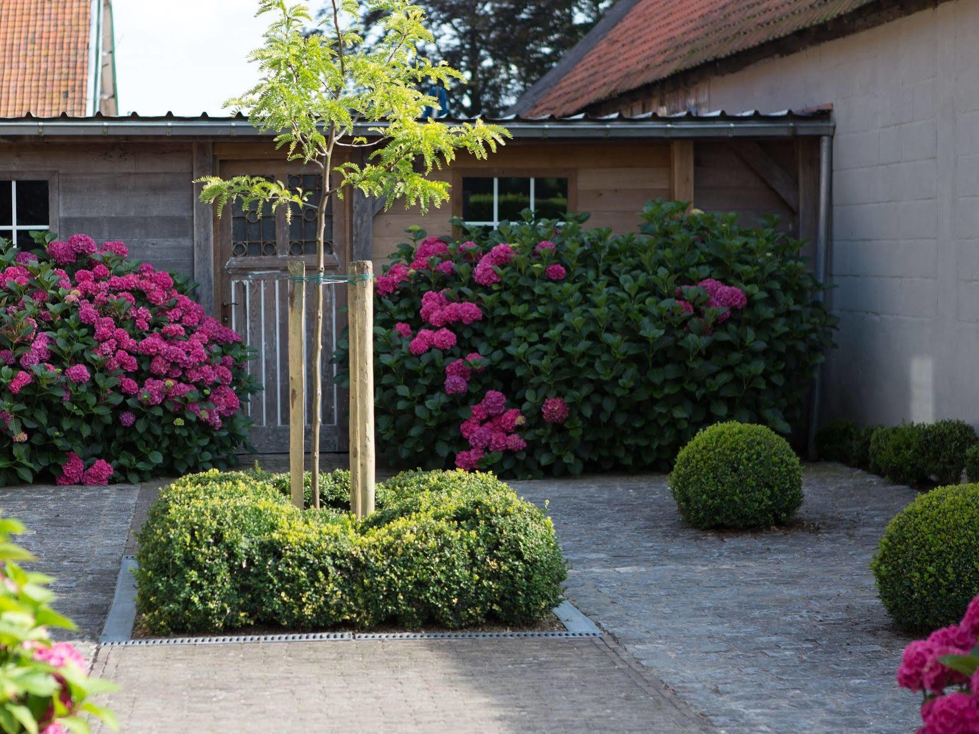 Hotel B - Boskapelhoeve Buggenhout Exterior foto